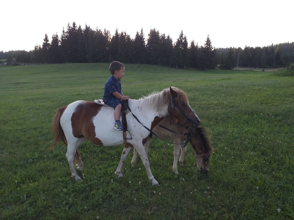 Дома для отпуска Village Borje Жабляк