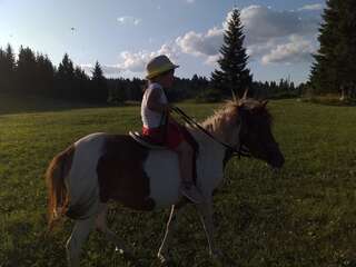 Дома для отпуска Village Borje Жабляк Дом с 2 спальнями-20