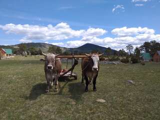 Дома для отпуска Village Borje Жабляк Дом с 2 спальнями-21