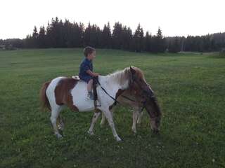 Дома для отпуска Village Borje Жабляк Дом с 2 спальнями-22