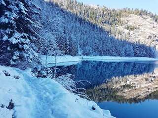 Дома для отпуска Village Borje Жабляк Дом с 2 спальнями-26