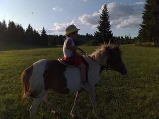 Дома для отпуска Village Borje Жабляк Дом с 2 спальнями-46