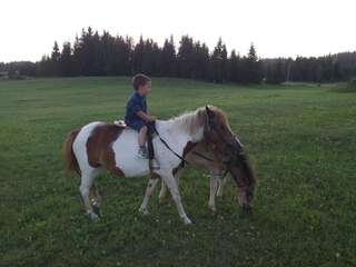 Дома для отпуска Village Borje Жабляк Дом с 2 спальнями-47