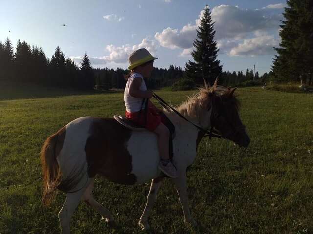 Дома для отпуска Village Borje Жабляк-48